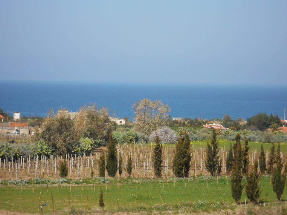 Agriturismo Tres Montes ソルソ エクステリア 写真