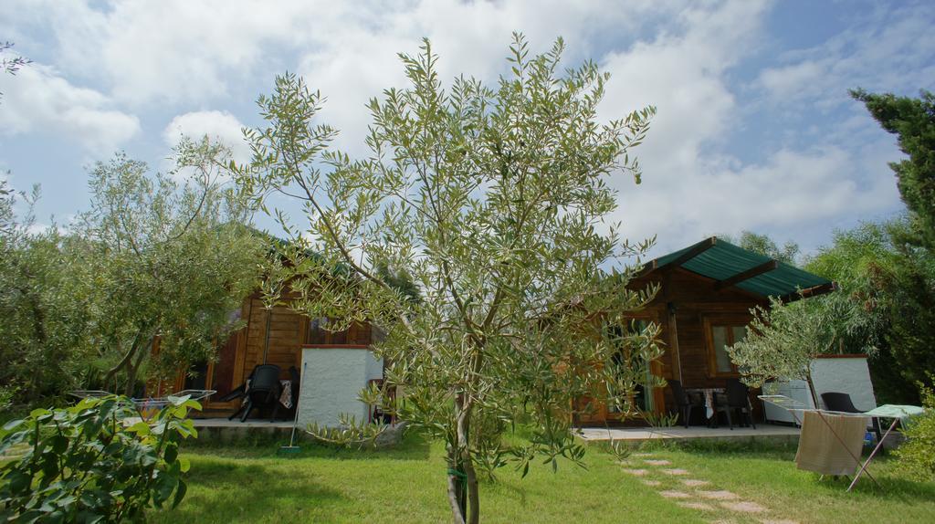 Agriturismo Tres Montes ソルソ エクステリア 写真