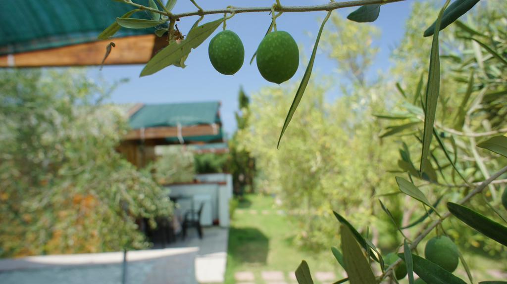Agriturismo Tres Montes ソルソ エクステリア 写真