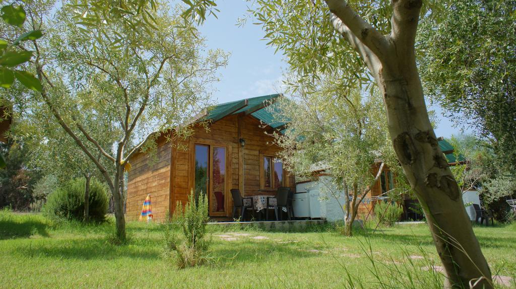 Agriturismo Tres Montes ソルソ エクステリア 写真