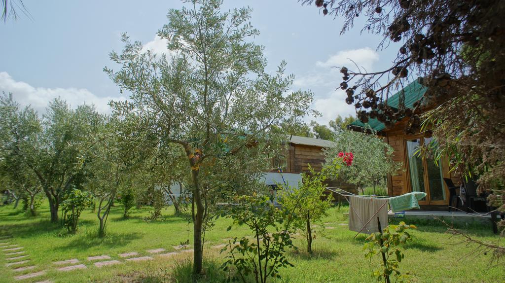 Agriturismo Tres Montes ソルソ エクステリア 写真