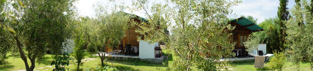 Agriturismo Tres Montes ソルソ エクステリア 写真
